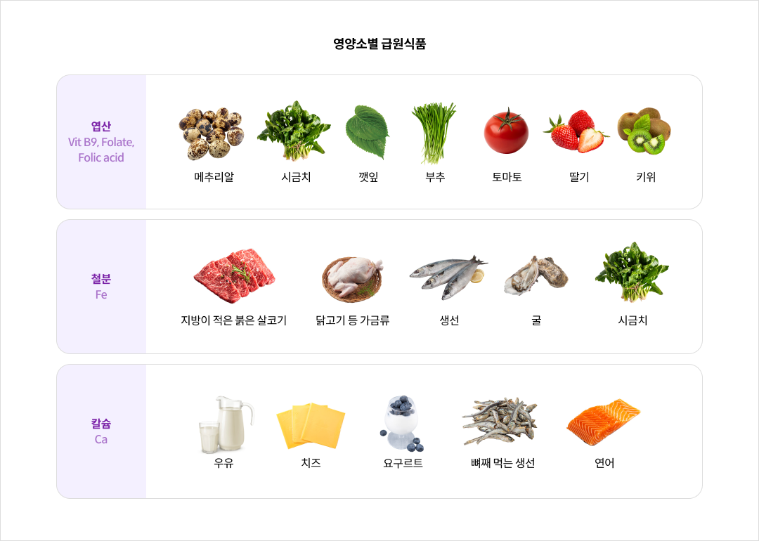 영양소별 급원식품